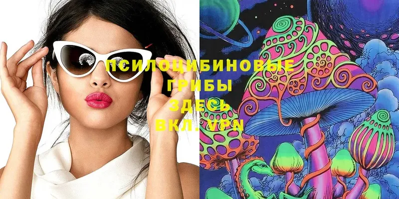 Галлюциногенные грибы Magic Shrooms  Дмитриев 