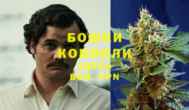 площадка наркотические препараты  mega ONION  Дмитриев  Марихуана LSD WEED 